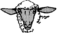 sheep clip art