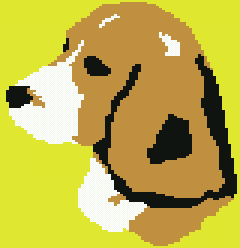 beagle